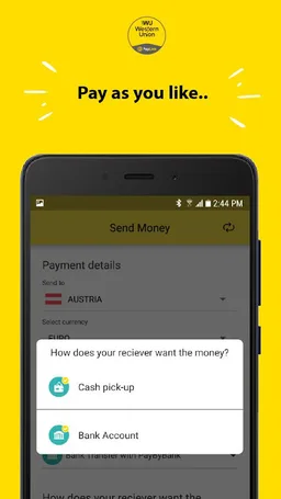 Western Union - PayLink screenshot 5
