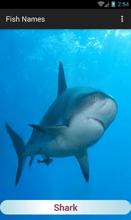 Sea Animals Names screenshot 6