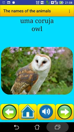 Animals names in Portuguese screenshot 6