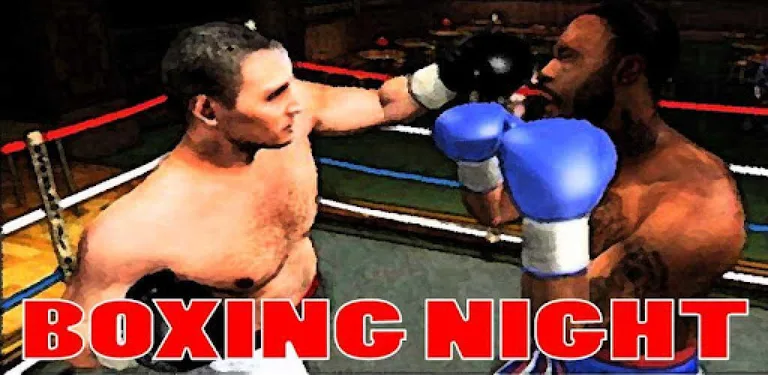 Boxing Night 3D cover image