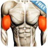 Biceps Workout icon