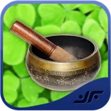 Ayurvedic Remedies icon