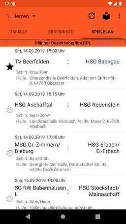 HSG Bachgau 08 screenshot 2