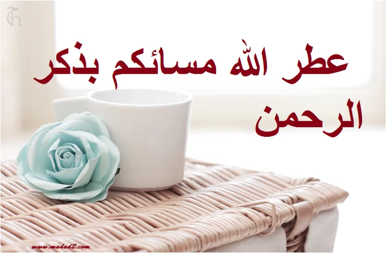 رسائل كلمات صباح و مساء الخير screenshot 8