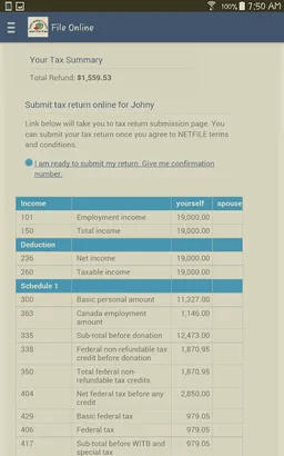 eFile Canadian Tax Return screenshot 14
