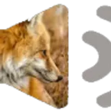Fox call icon