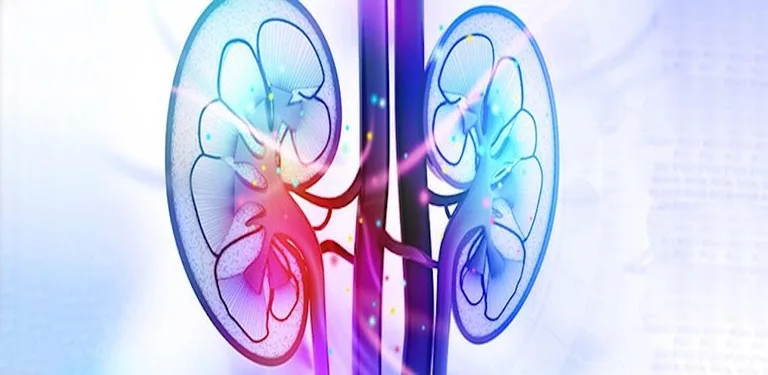 Renal Dose cover image