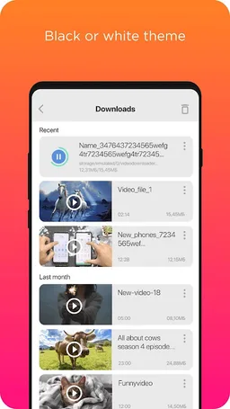 Video Downloader screenshot 1
