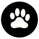 Dog And The Box icon