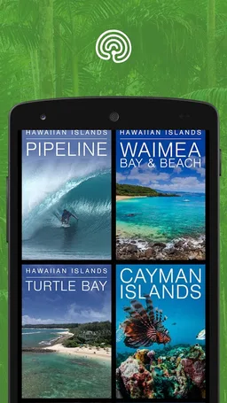 explore.org screenshot 11