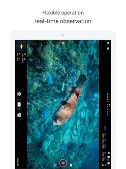 CHASING GO1 screenshot 11