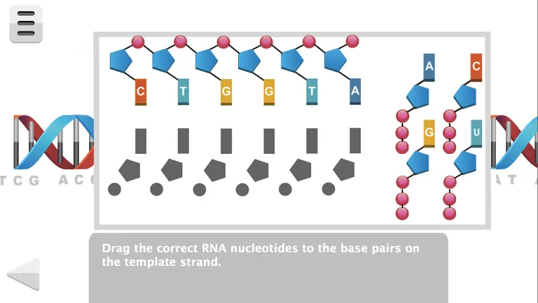 Biology Molecular Genetics L screenshot 9