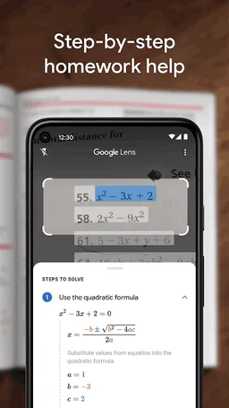 Google Lens screenshot 3