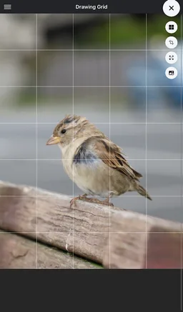 Drawing Grid screenshot 8