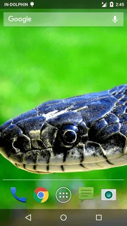 Magic Touch Cobra Attack screenshot 4