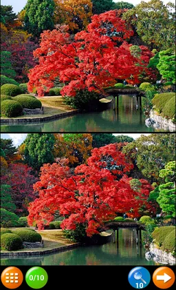 Spot the difference 150 levels screenshot 10