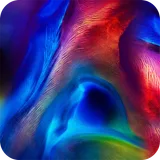 Wallpaper for Honor Magic 2 icon