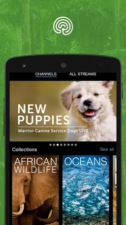 explore.org screenshot 2