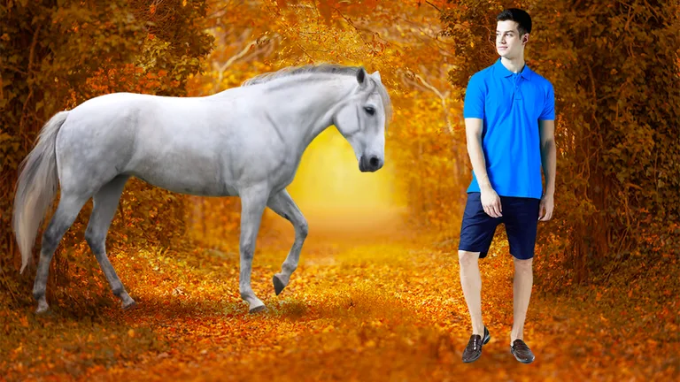 Horse Pic Editor Lyrical Maker screenshot 2