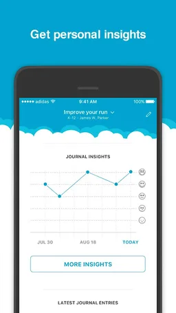 IHT Spirit screenshot 4