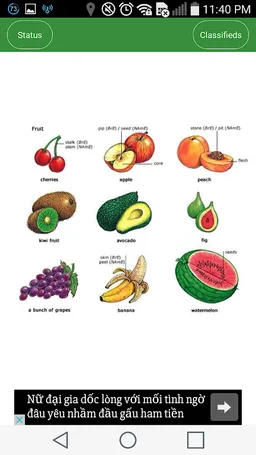 learn english by picture screenshot 3