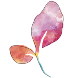 Minha Gravidez por Paula icon