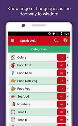 Learn Urdu Language Offline screenshot 8