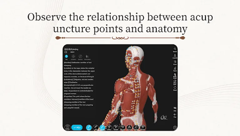 Acupuncture Master screenshot 9