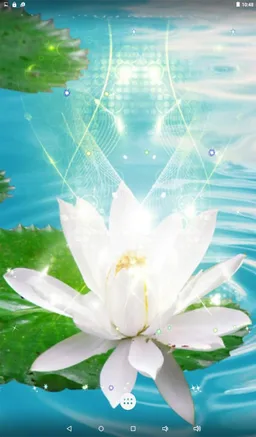 Lotus Live Wallpaper screenshot 8