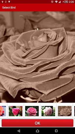 Flowers Live Wallpaper FREE screenshot 4