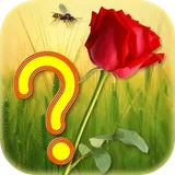 Guess the Flower icon