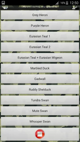 Bird Sound Free screenshot 5