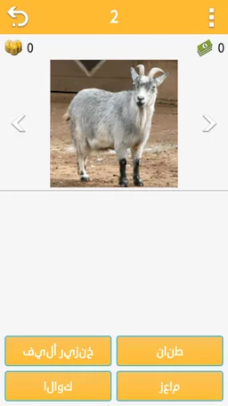 Guess Animal screenshot 9