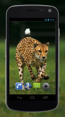4K Cheetah Sprint Live Wallpaper screenshot 4