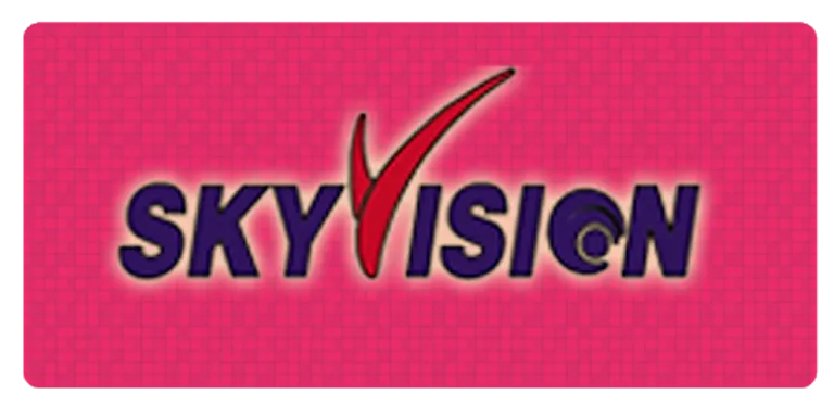 sky vision cover image