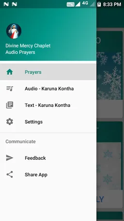 Divine Mercy Chaplet Audio Wit screenshot 3