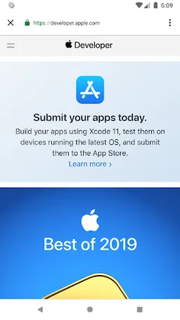 Developer Console screenshot 2