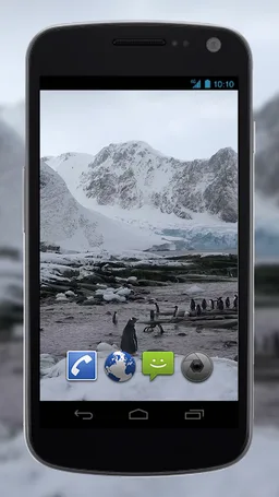 4K Funny Penguin Video Live Wallpaper screenshot 2