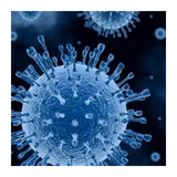 Diseases Wiki icon