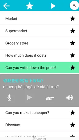 Speak Chinese Vocab & Phrase screenshot 14