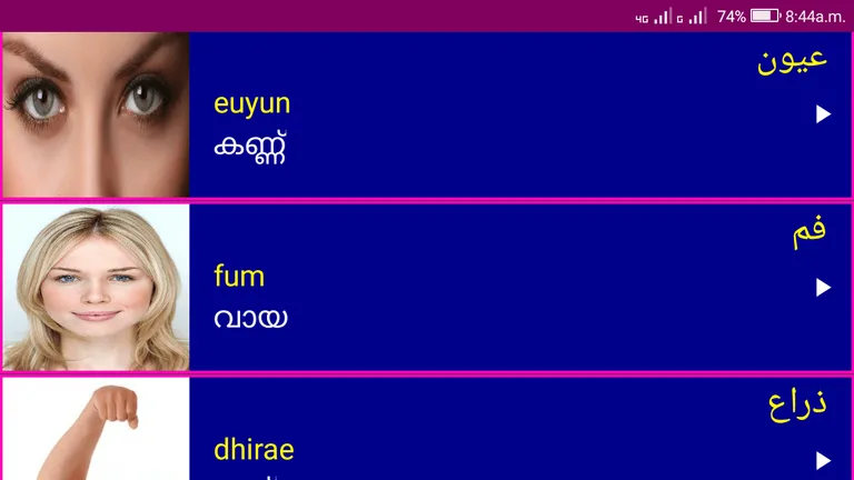 Learn Arabic From Malayalam screenshot 3