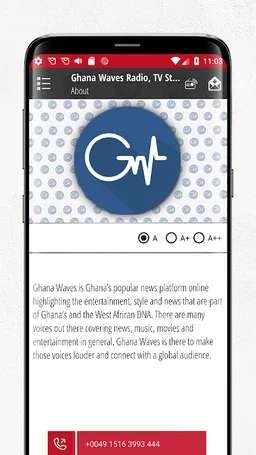 Africa Waves Radio screenshot 2