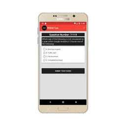 Diploma in Digital Marketing Practice Test screenshot 6