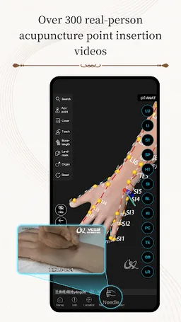 Acupuncture Master screenshot 4