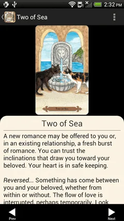 Mystical Cats Tarot screenshot 4