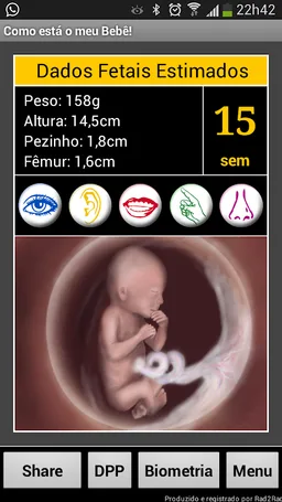 Gravidez ao Vivo LITE screenshot 3