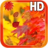 Autumn Leaves HD Free icon