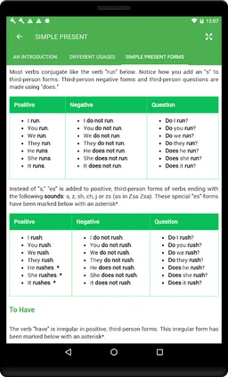 English Tenses Book screenshot 12