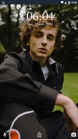 Timothee Chalamet Wallpaper 2020 screenshot 2