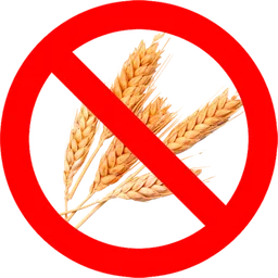 Ekadasi Calendar screenshot 2